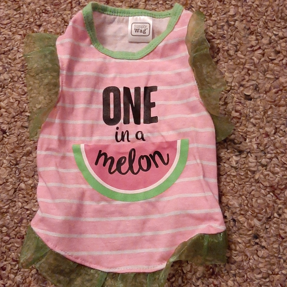 Dog or cat outfit size small